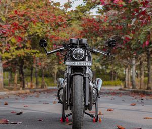 Preview wallpaper motorcycle, bike, black, front view, asphalt, leaves