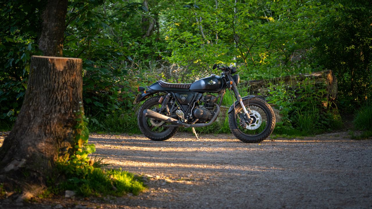 Wallpaper motorcycle, bike, black, forest, trees