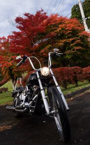 Preview wallpaper motorcycle, bike, black, trees, autumn, moto