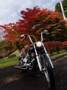 Preview wallpaper motorcycle, bike, black, trees, autumn, moto