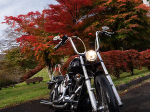 Preview wallpaper motorcycle, bike, black, trees, autumn, moto