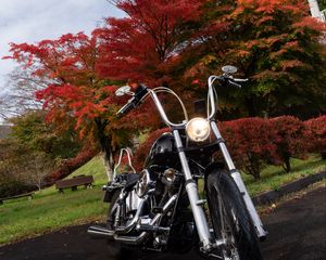 Preview wallpaper motorcycle, bike, black, trees, autumn, moto