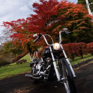 Preview wallpaper motorcycle, bike, black, trees, autumn, moto
