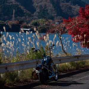 Preview wallpaper motorcycle, bike, chopper, black, nature