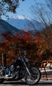 Preview wallpaper motorcycle, bike, chopper, black, nature, autumn