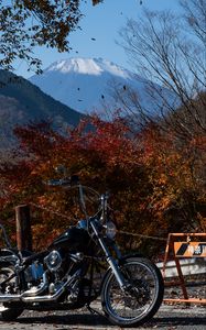 Preview wallpaper motorcycle, bike, chopper, black, nature, autumn