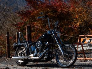 Preview wallpaper motorcycle, bike, chopper, black, nature, autumn