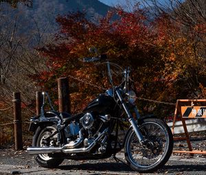Preview wallpaper motorcycle, bike, chopper, black, nature, autumn