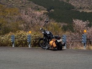 Preview wallpaper motorcycle, bike, chopper, black, mountains, nature