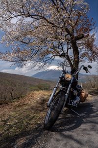 Preview wallpaper motorcycle, bike, chopper, black, moto, sakura