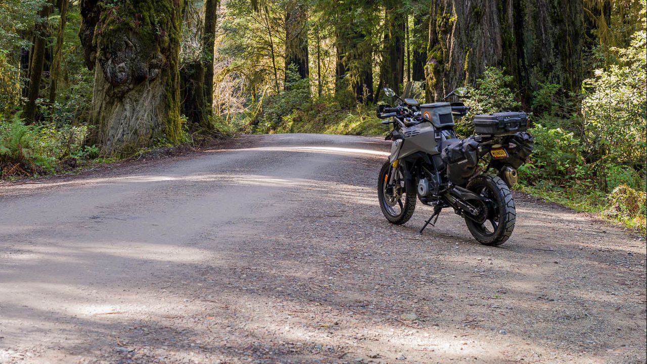Wallpaper motorcycle, bike, forest, road, trees