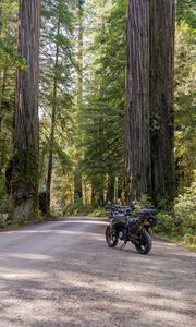 Preview wallpaper motorcycle, bike, forest, road, trees