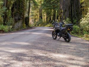 Preview wallpaper motorcycle, bike, forest, road, trees