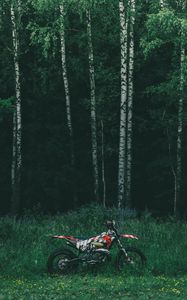 Preview wallpaper motorcycle, bike, forest, trees