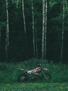 Preview wallpaper motorcycle, bike, forest, trees