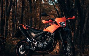 Preview wallpaper motorcycle, bike, orange, black, side view