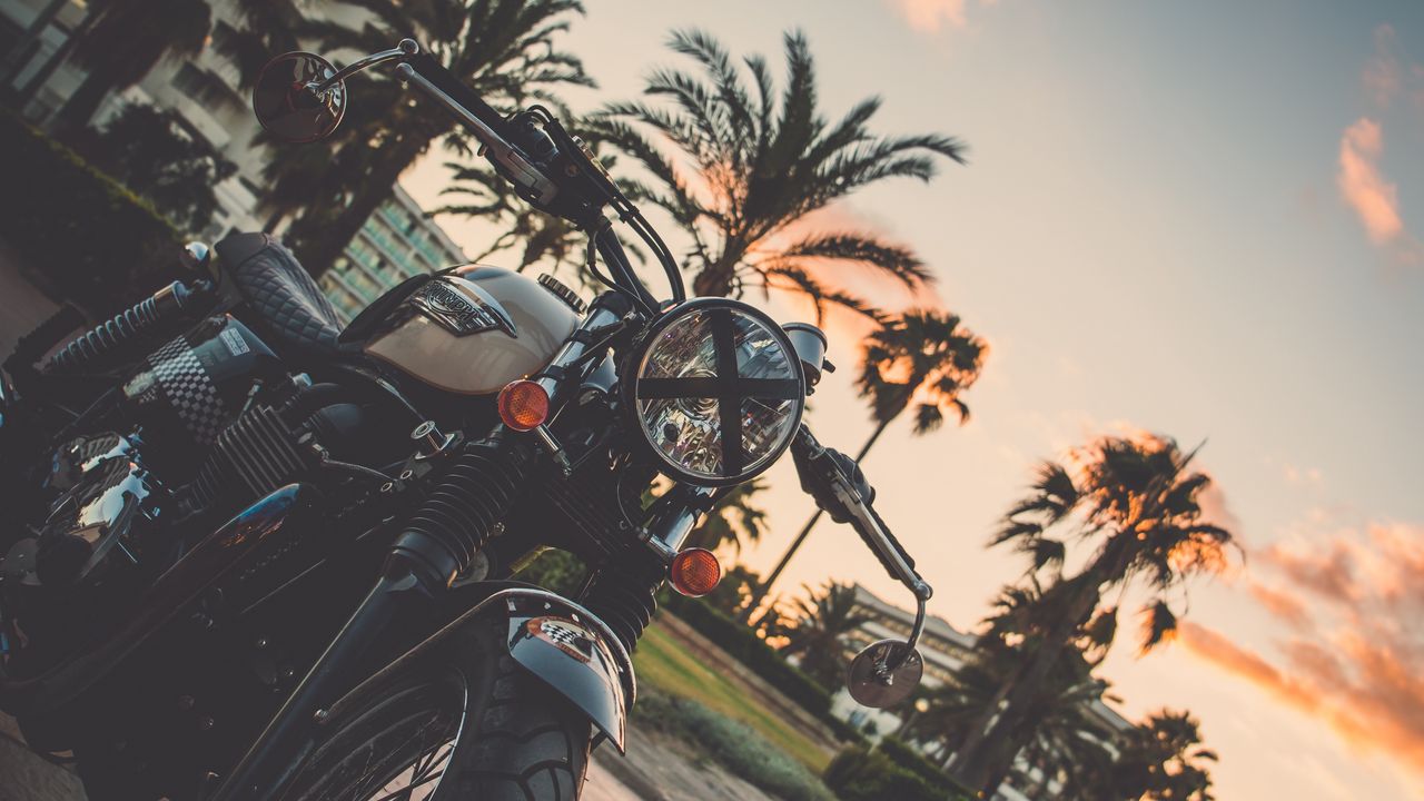 Wallpaper motorcycle, bike, palm tree