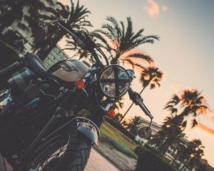 Preview wallpaper motorcycle, bike, palm tree