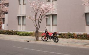 Preview wallpaper motorcycle, bike, red, street