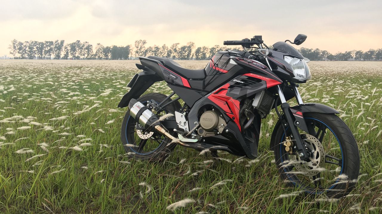 Wallpaper motorcycle, bike, sports, side view, field, grass