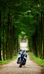 Preview wallpaper motorcycle, blue, forest, trees