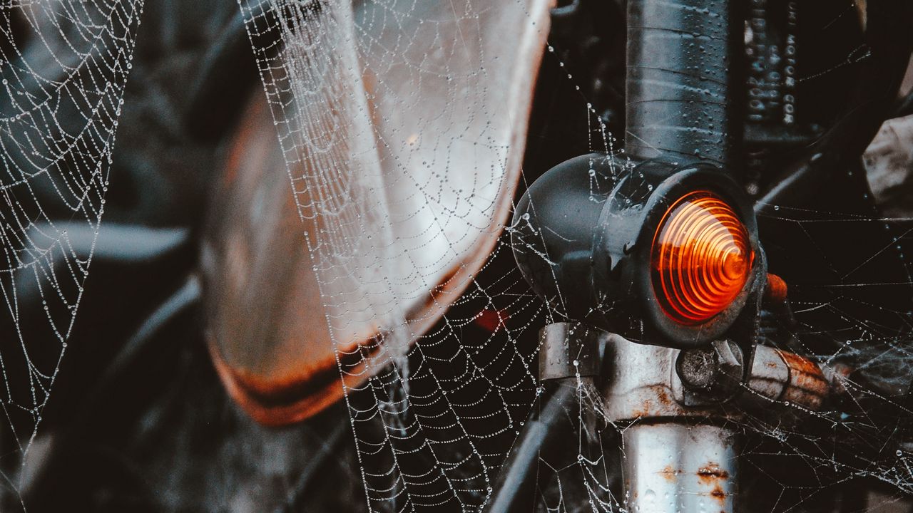 Wallpaper motorcycle, cobweb, wet, dew, tangled