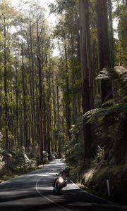 Preview wallpaper motorcycle, motorcyclist, speed, road, forest