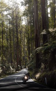 Preview wallpaper motorcycle, motorcyclist, speed, road, forest