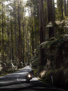 Preview wallpaper motorcycle, motorcyclist, speed, road, forest