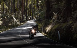 Preview wallpaper motorcycle, motorcyclist, speed, road, forest