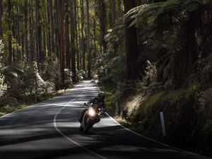 Preview wallpaper motorcycle, motorcyclist, speed, road, forest