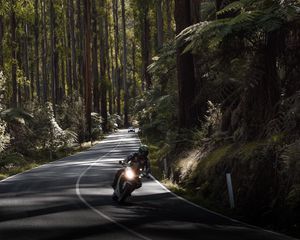 Preview wallpaper motorcycle, motorcyclist, speed, road, forest