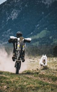 Preview wallpaper motorcyclist, dog, race, grass