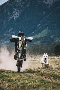 Preview wallpaper motorcyclist, dog, race, grass