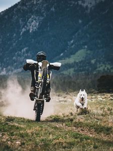 Preview wallpaper motorcyclist, dog, race, grass