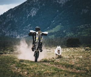 Preview wallpaper motorcyclist, dog, race, grass