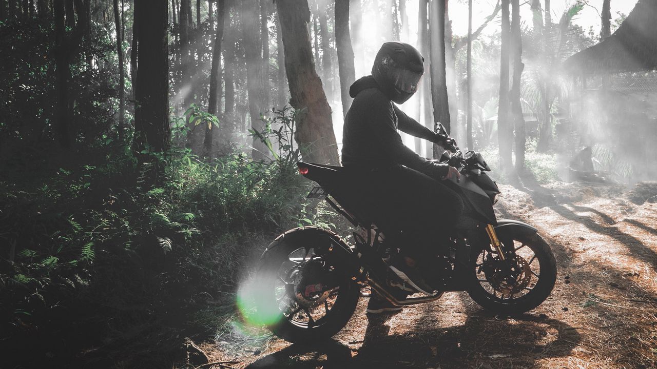 Wallpaper motorcyclist, motorcycle, bike, forest, fog
