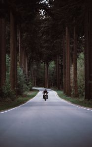 Preview wallpaper motorcyclist, motorcycle, road, forest, movement, turn