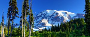 Preview wallpaper mount rainier, usa, mountains, snow, trees, grass, flowers, slope