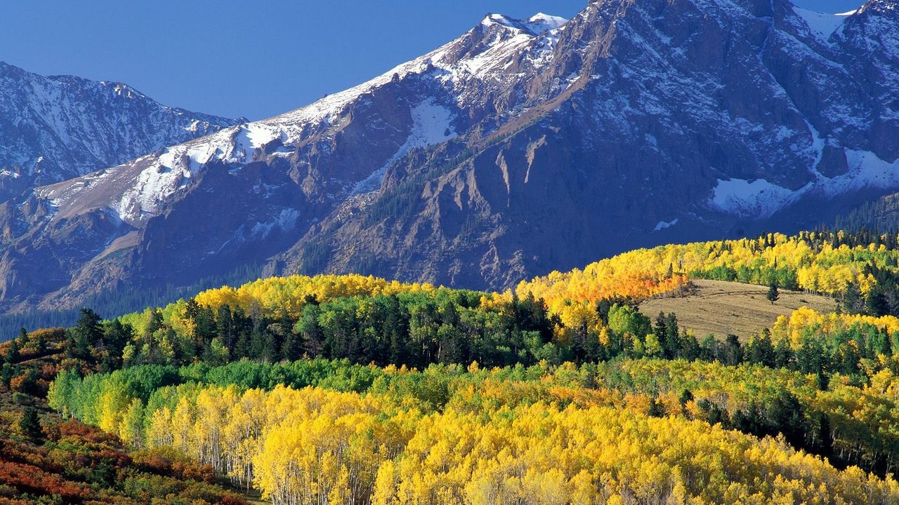 Wallpaper mount sneffels, colorado, wood, mountains, autumn