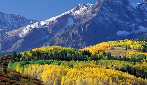 Preview wallpaper mount sneffels, colorado, wood, mountains, autumn