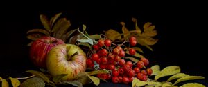 Preview wallpaper mountain ash, apple, still life, leaves