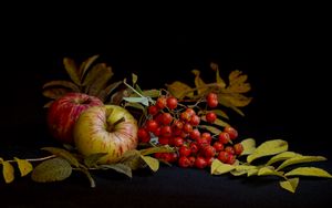 Preview wallpaper mountain ash, apple, still life, leaves