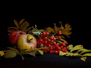 Preview wallpaper mountain ash, apple, still life, leaves