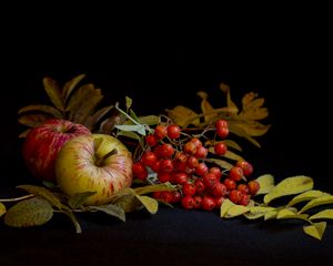 Preview wallpaper mountain ash, apple, still life, leaves