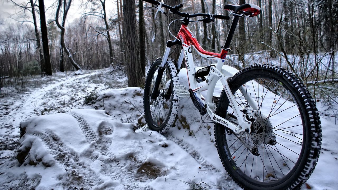 Wallpaper mountain bicycle, wood, traces, snow