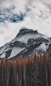 Preview wallpaper mountain, bottom view, trees, sky