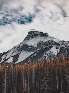 Preview wallpaper mountain, bottom view, trees, sky