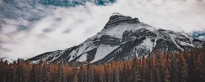 Preview wallpaper mountain, bottom view, trees, sky