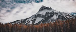 Preview wallpaper mountain, bottom view, trees, sky